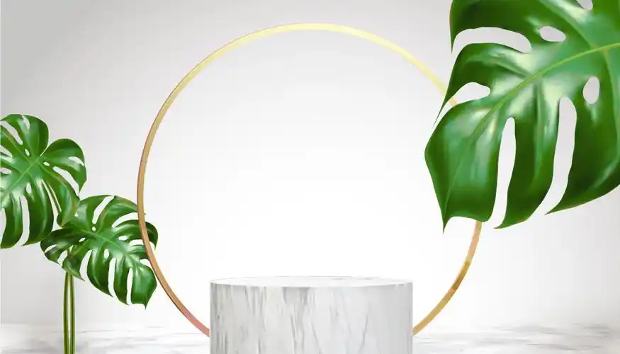 19款时尚电商产品立体场景背景ai矢量设计素材 product stereo back