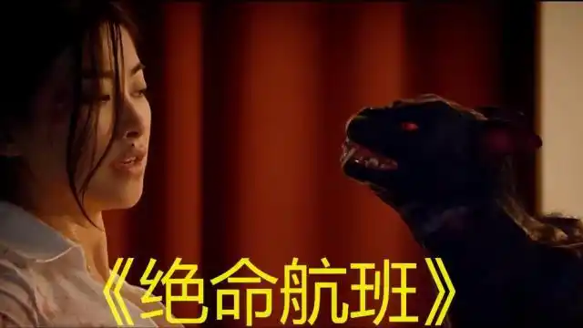 惊悚灾难电影《绝命航班》,变异黑猫在飞机上接连伤人