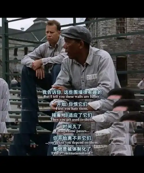 《肖申克的救赎》永远清醒的人