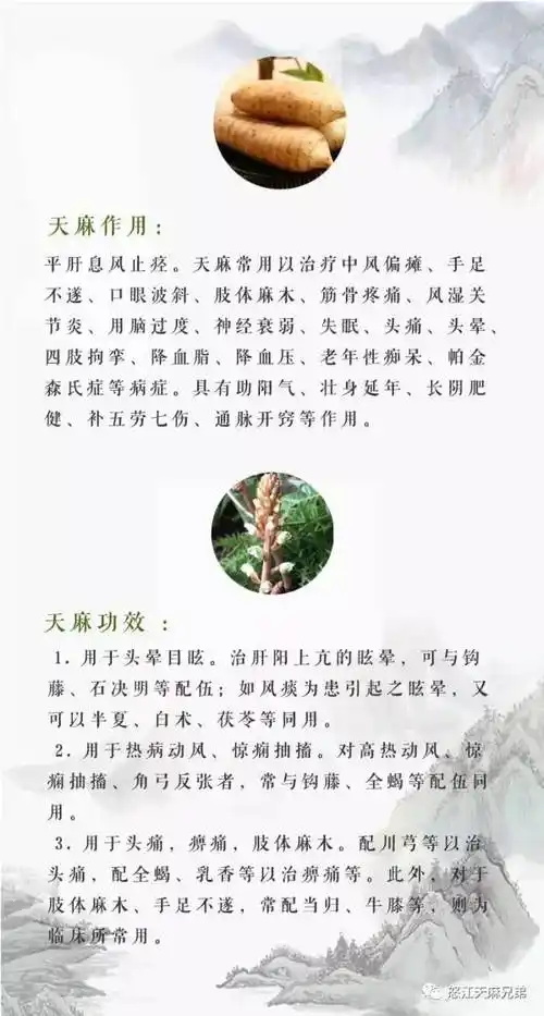 脑血管阻力,增加耐缺氧力以及对心肌缺血有保护作用等等的食用功效