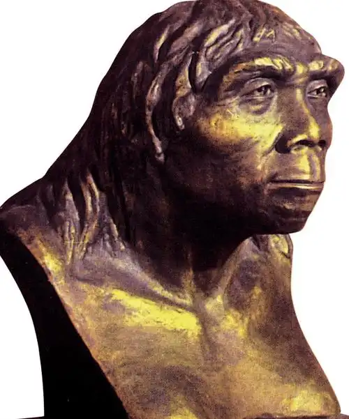 人类_起源_观点