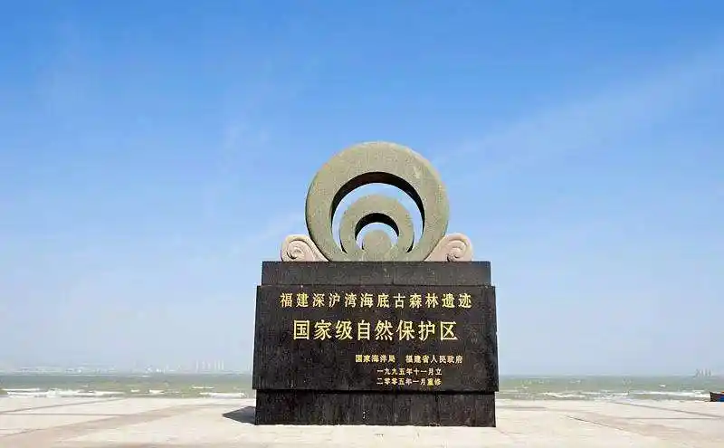 深沪湾海底古森林遗迹自然保护区