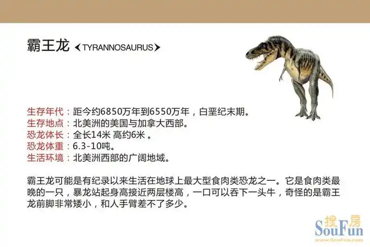 沃尔玛国际广场中秋国庆邀您共享重返恐龙时代