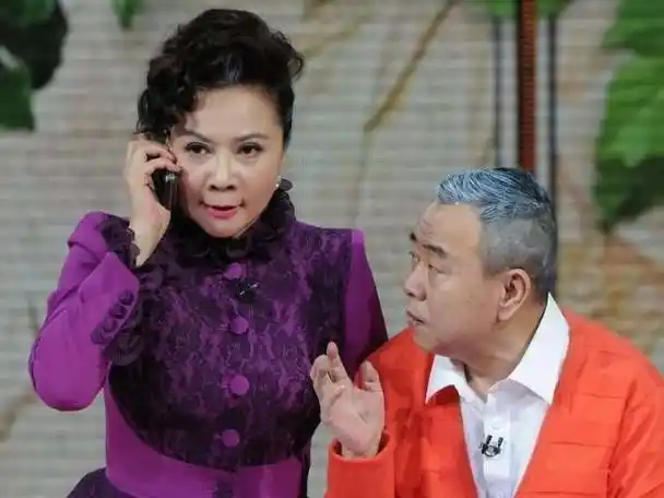 回顾丁丁36岁仍未婚蔡明逼婚太心急竟险些逼成母子抑郁