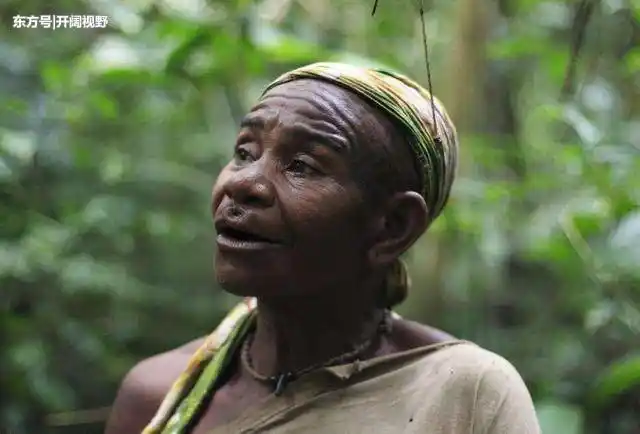 40米,他们自称是"森林之子",他们就是俾格米人.