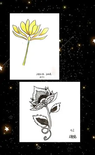 白丽的美篇《靓丽的花卉纹样》海川中学初二学生作品