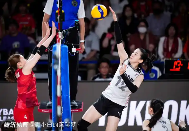 日本女排3-0韩国豪取4连胜:巩固亚洲第一 世界第六 奥运门票无忧