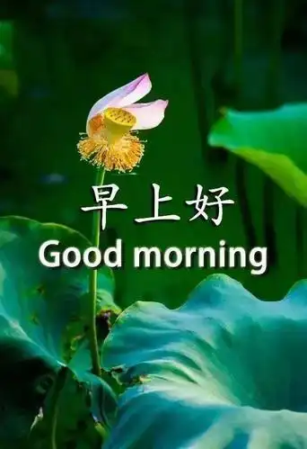 2021牛年早上好祝福动态图早上好动态图片大全