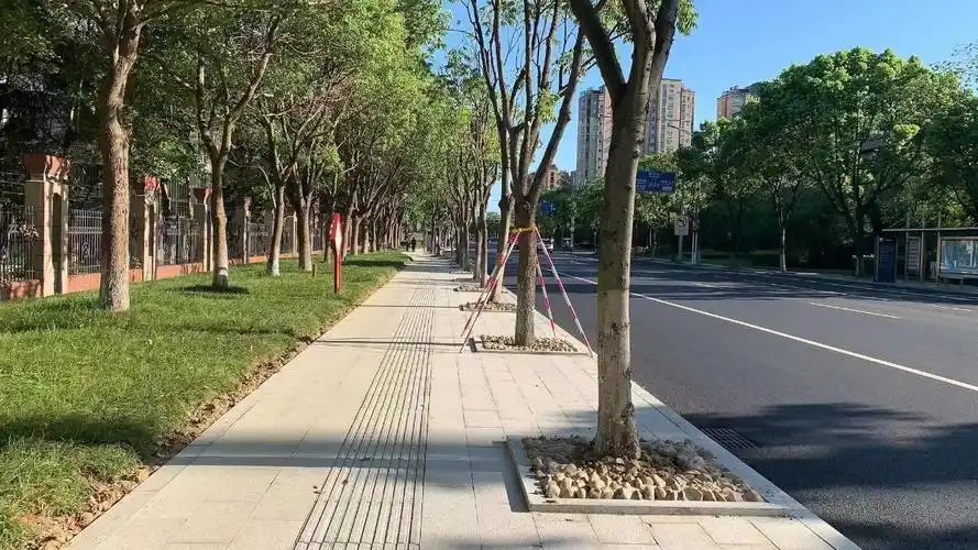 焕然一新!嘉善子胥路完成道路有机更新