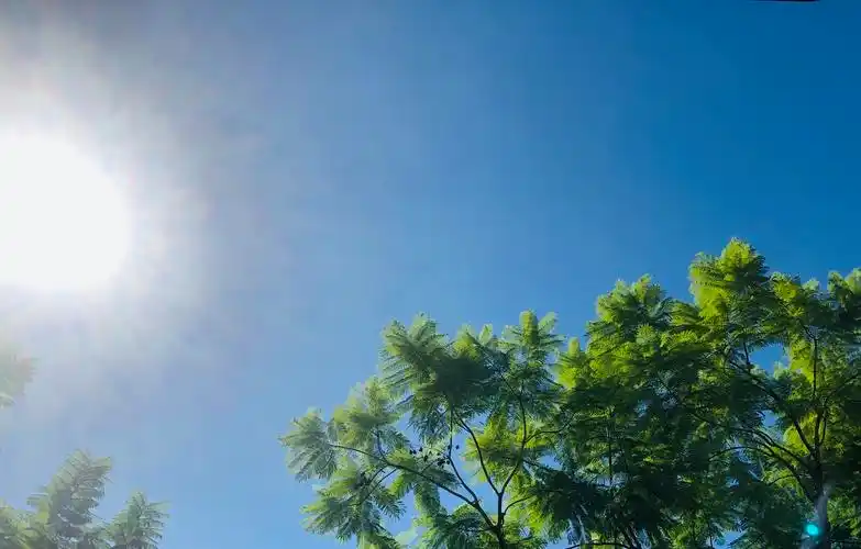 蓝天白云惊艳朋友圈