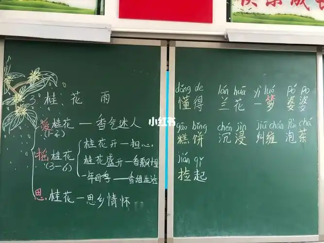 桂花雨板书设计