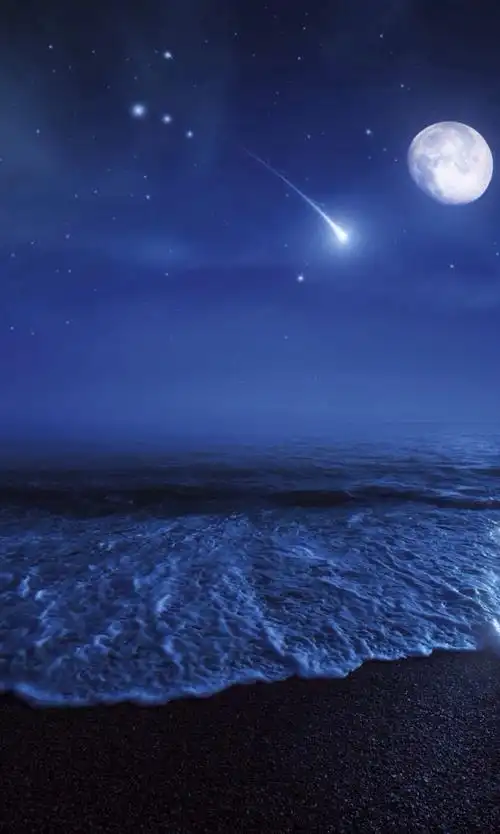 sl霜漓 _ 哔哩哔哩相簿