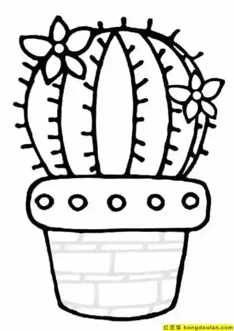 植物的简笔画上色 简笔画图片大全-普车都