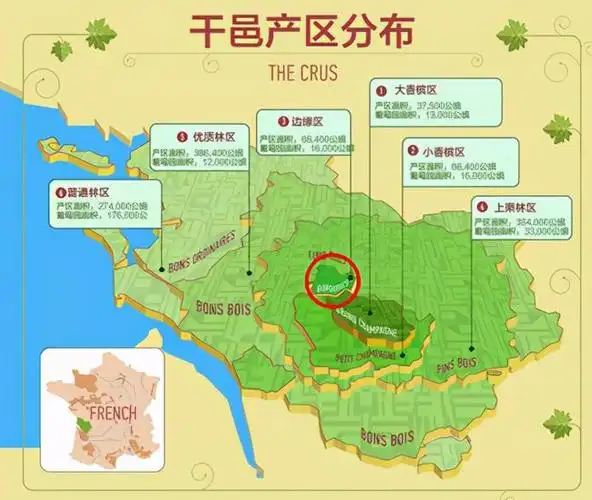 马爹利干邑——来自优质产区的优质品质