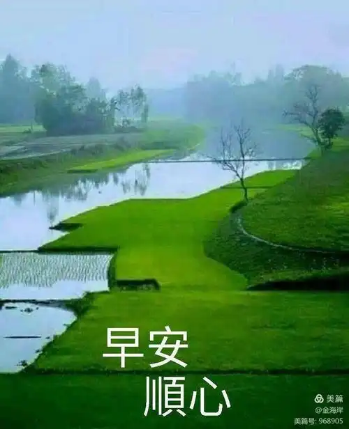 早上好——图片收集