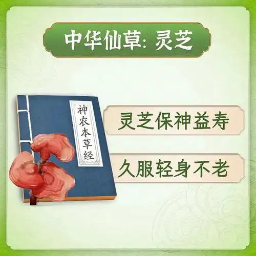 中华仙草一一灵芝(灵芝孢子粉)