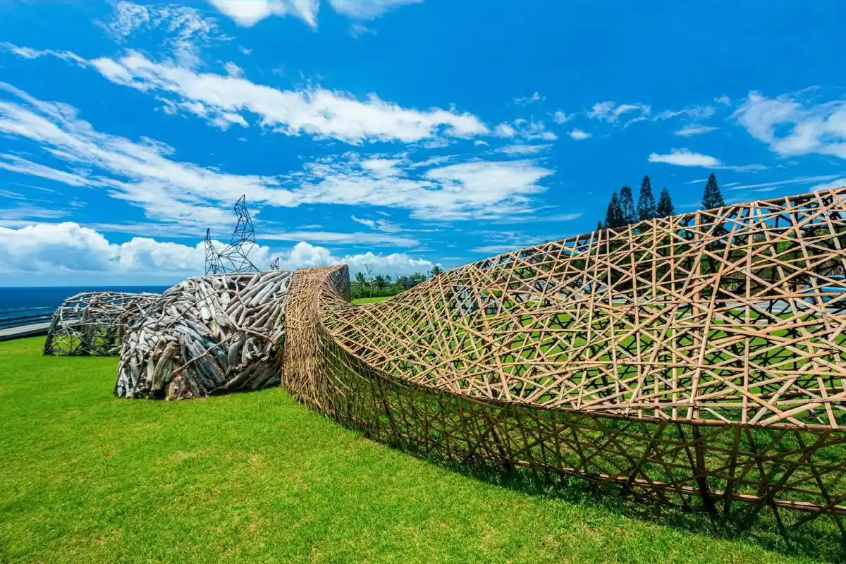 大地艺术作品欣赏北京大地艺术节