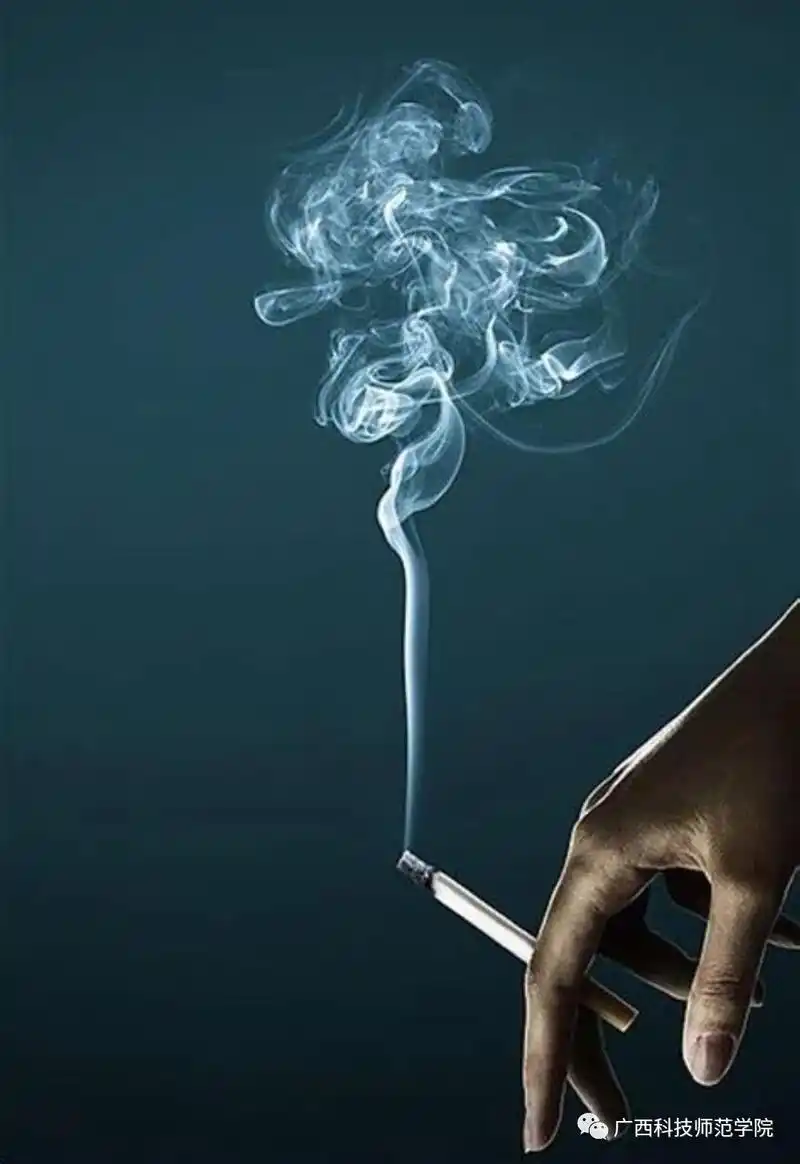 531世界无烟日请放下你手里的香烟