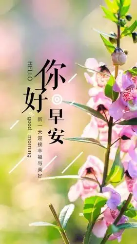 早上问候适当的放弃是人生优雅的转身早安