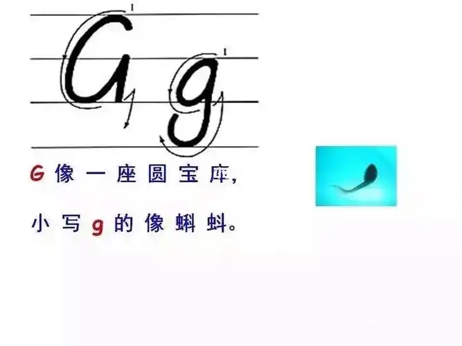 字母g的手写体!印刷体的是看的认识就好,手写体是一笔哦!