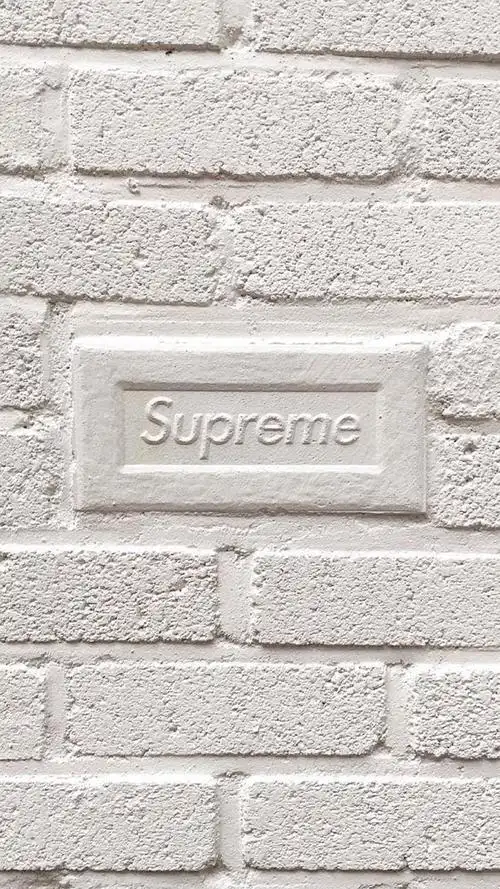 は蛋|supreme