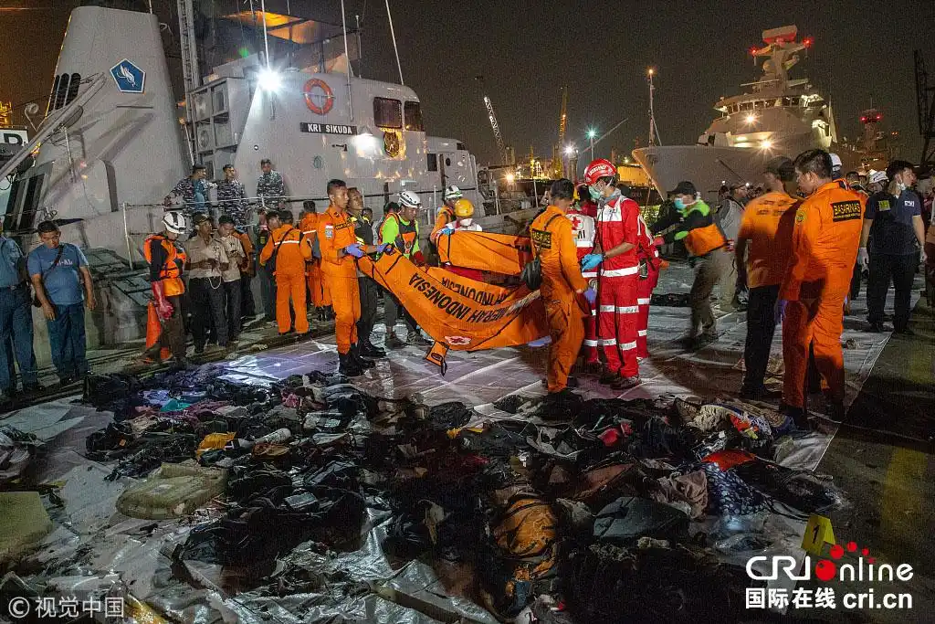 印尼航班坠毁搜救现场照片曝光 飞机曾出现"技术问题"(组图)-国际在线