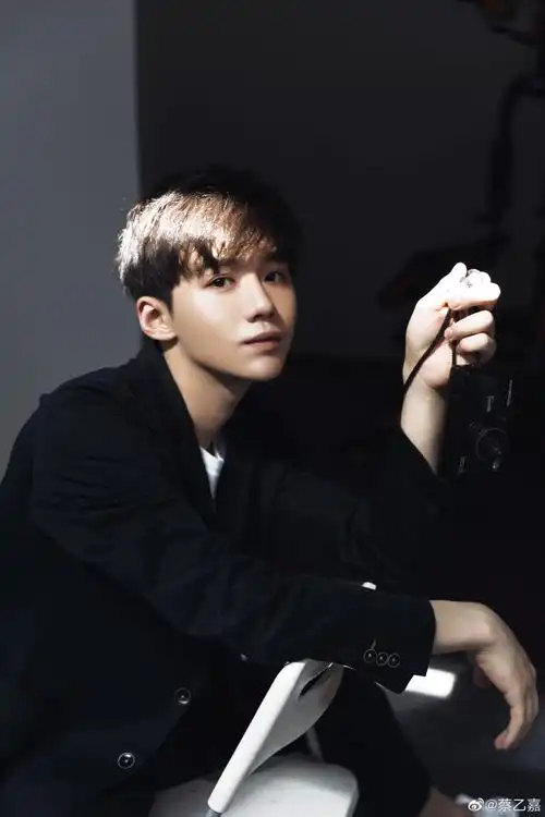 蔡乙嘉我喜欢你