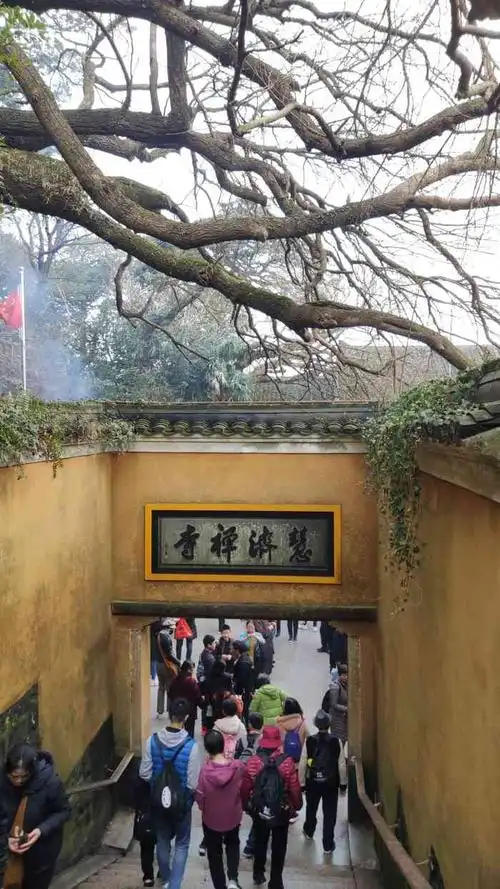 普陀山慧济禅寺-"慧济禅寺每次去普陀山是一定要去的,处在佛.
