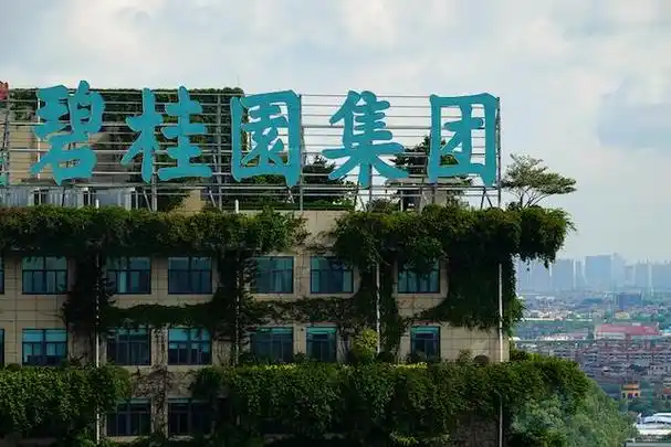 碧桂园调整组织架构,将地产业务降至二级集团管辖|碧桂园_新浪财经