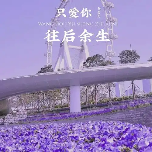 辞念儿往后余生只爱你