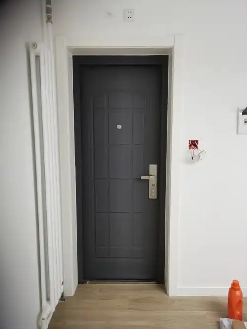 想了很久,决定还是把那扇猪肝色的防盗门改个颜色,为了省点人工费