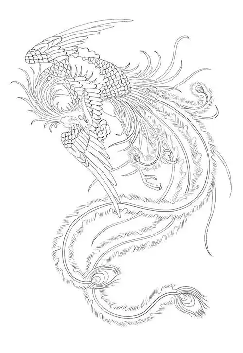工笔白描凤凰!恭请大家欣赏!