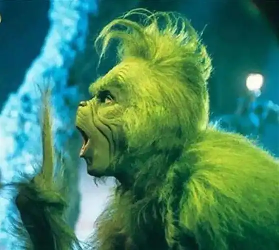 禅师住在衡山之中忽然跑来一头绿毛怪兽禅师可懵了