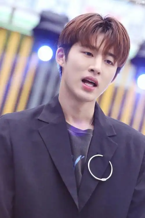 被经纪公司坑惨了的爱豆们,白白承担了骂名和浪费了青春