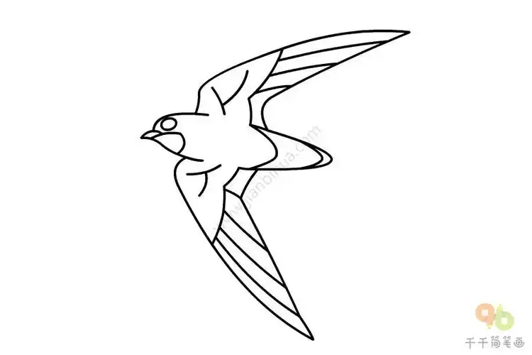 灰喉针尾雨燕简笔画