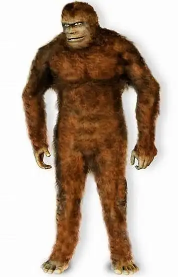 老汉深山采药遇野人浑身红毛似人非人野人莫非真的存在