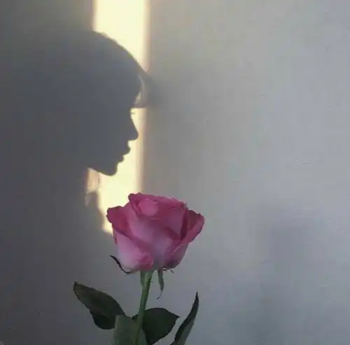 qq头像闻花正面qq头像真人拿着花的