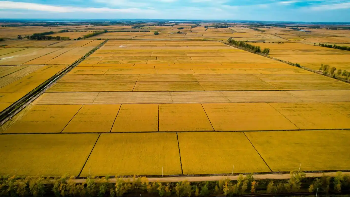 粮仓好"丰"景丨金秋十月,赴一场丰收之约