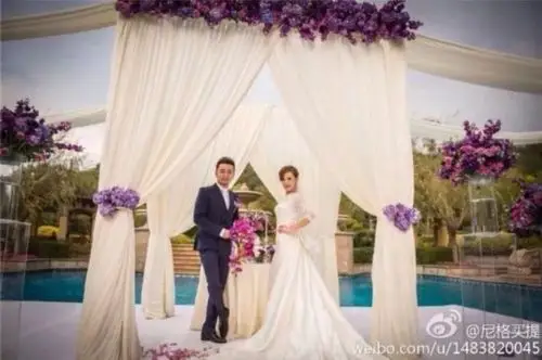 朱军撒贝宁尼格买提 盘点央视主持人美美哒婚礼照