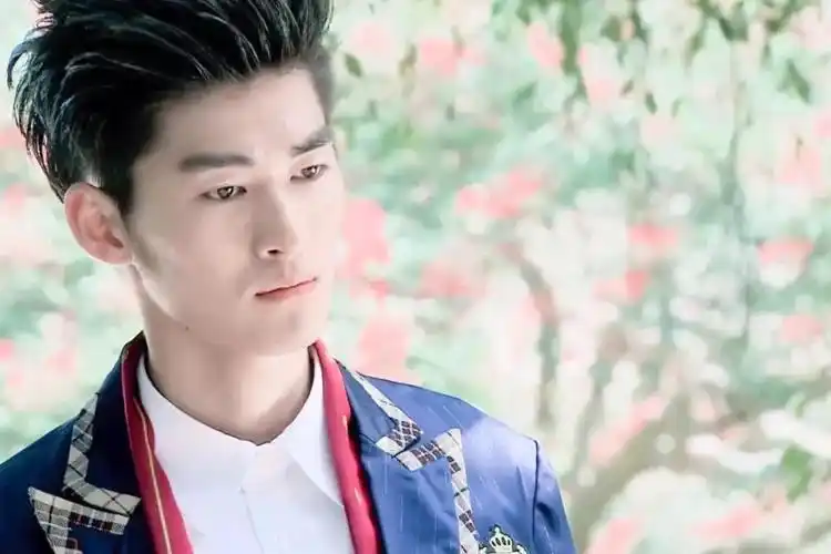 张翰主演的电视剧有哪些(张翰主演的9部霸道总裁剧)