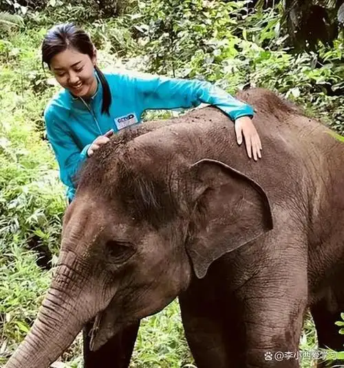 央视《远方的家》主持人伊拉娜,五官精致,肤色偏黑,有种野性美