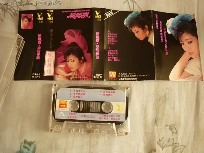 龙飘飘:梦中的娃娃