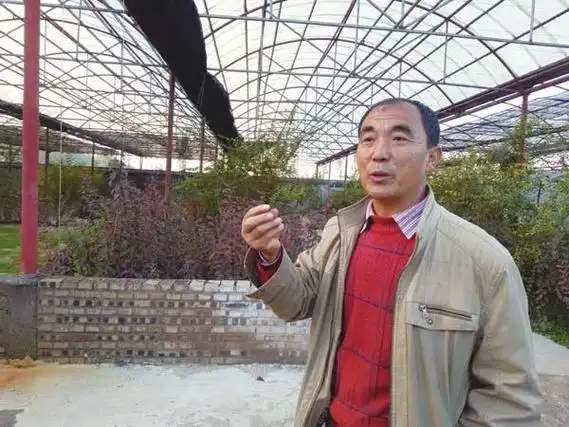 "村长"职务或将取消,农村领导有"变动"?或有三个新领导接替