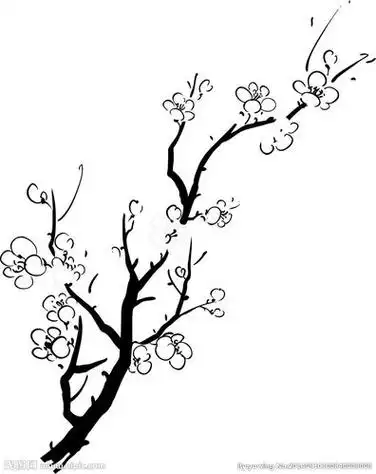梅花的简笔画梅花的简笔画怎么画最好看又简单