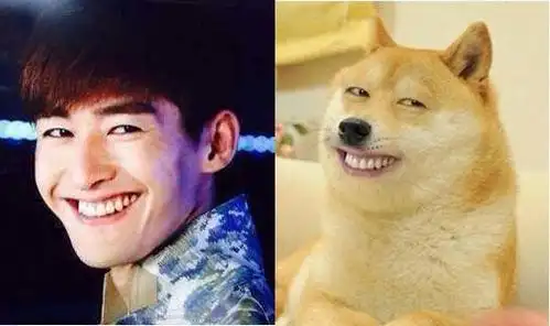 【奇趣杂谈】 - 狗狗——我得意的笑,得意的笑