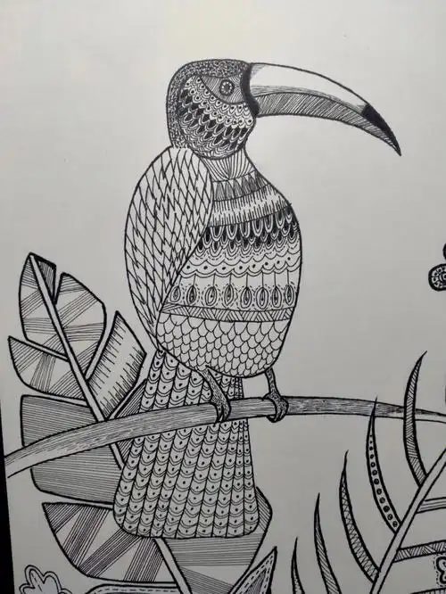 树上的大嘴鸟﹏线描﹏原创儿童画六岁