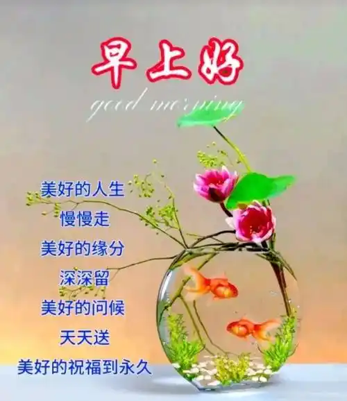 中老年早上好,精选早安温馨祝福图片带问候语