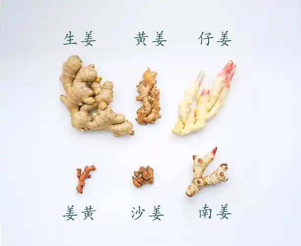 "夏吃姜",保健康,不劳医生开药方!