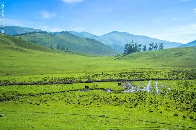 微博影像年##大美风光##微博旅行家