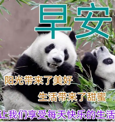 9张最新创意唯美的早上好图片带字温馨 唯美秋日清晨早安问候祝福图片